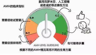 女性的AMH对做试管培养有影响吗？
