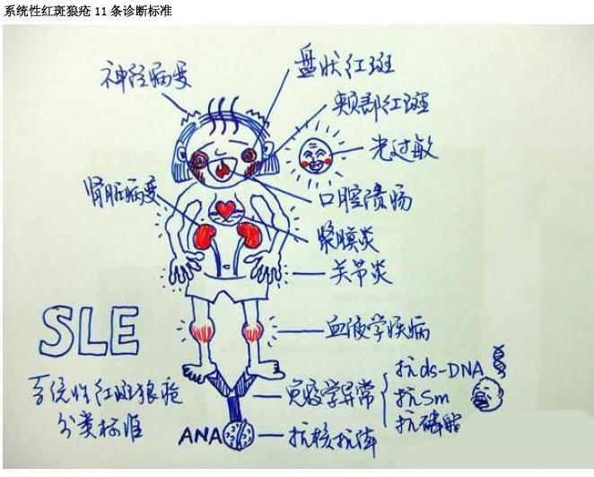 红斑狼疮美国三代试管可以排除吗？能够自己生育吗？