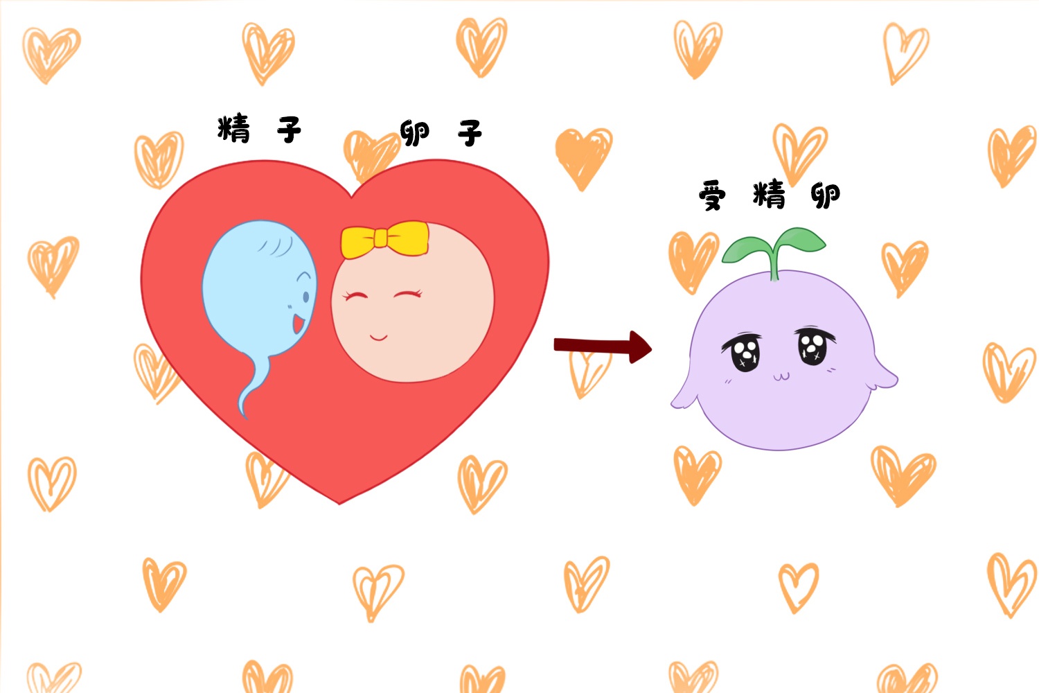 大龄妇女卵子质量差，适合做供卵<a href='http://www.ivfyd.com' target='_blank'><u>美国试管婴儿</u></a>吗？