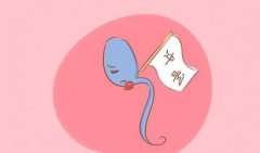精子存活率低能不能做美国试管？