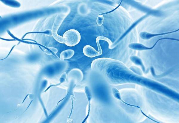  诺优笙国际：精子存活率低能不能做美国试管？