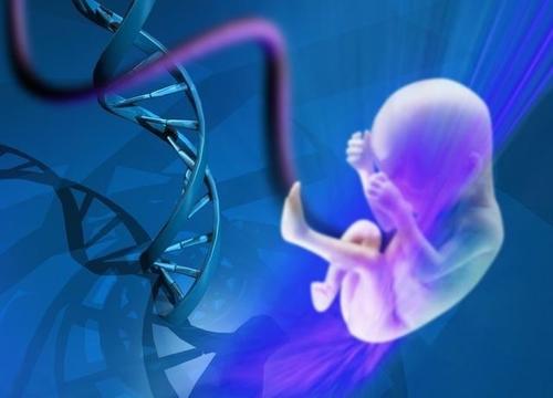  诺优笙国际：美国做供卵试管的机构可以相信吗？成功率怎样？
